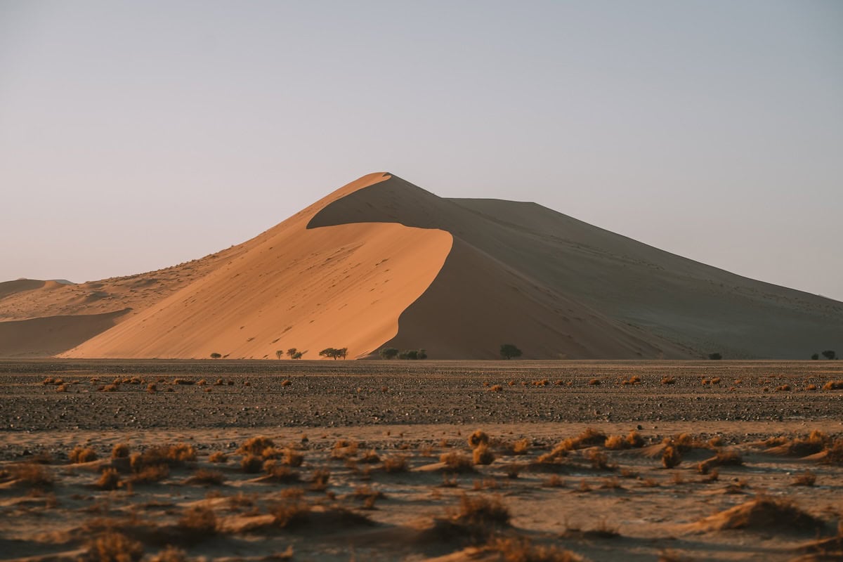 dune in Sossusvlei Beautiful wide dune bathed in soft light in Sossusvlei