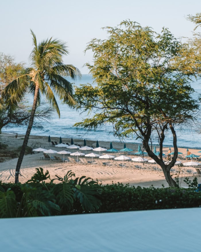 Infinity pool Infinity pool overlooking lines of beach umbrellas on the beach below and the ocean beyond it.