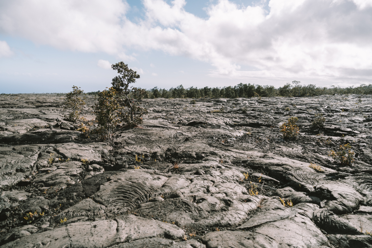 hardened lava fields Expansive hardened lava fields on the Big Island of Hawaii with sparse vegetation under a cloudy sky.