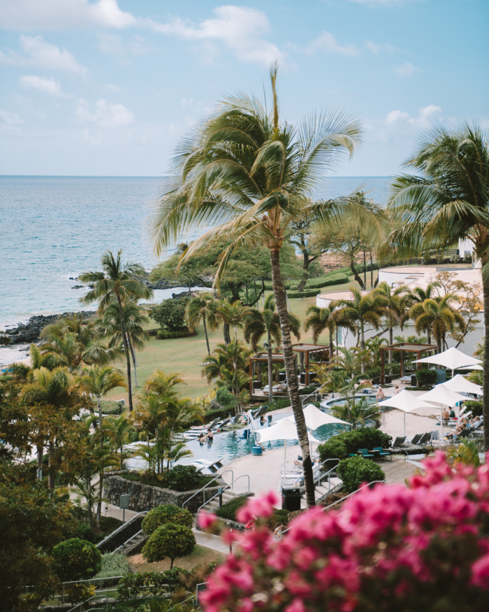 Westin Hapuna Beach resort Overview of the Westin Hapuna Beach hotel in Big Island, Hawaii with pink flowers in the foreground.