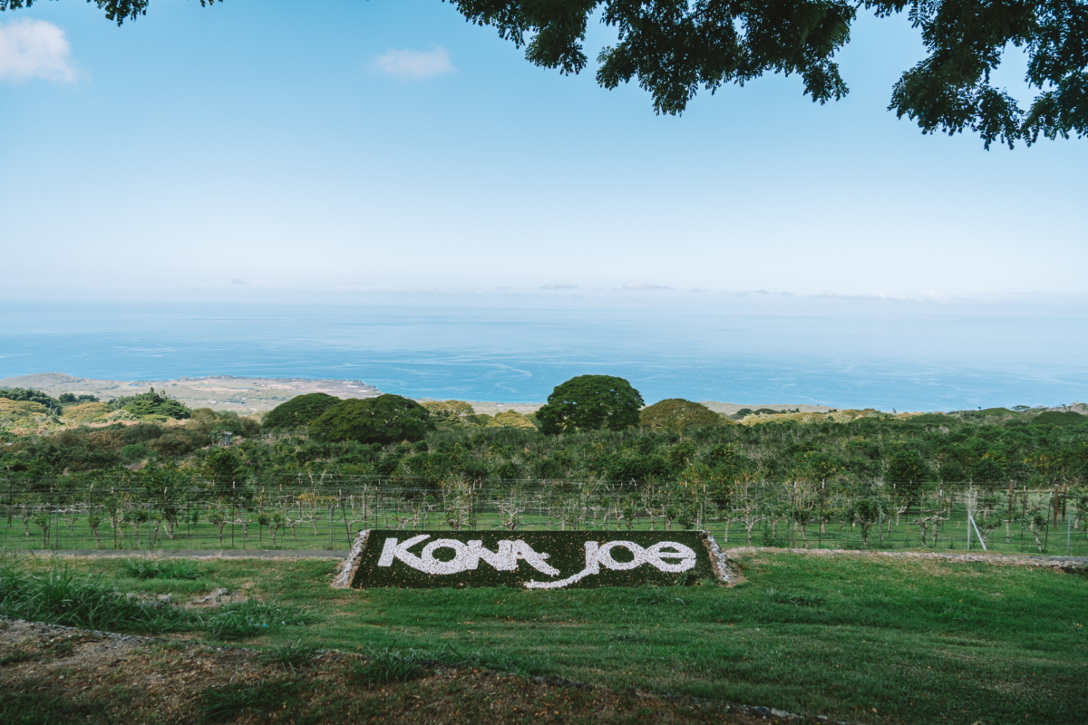 Kona Joe Coffee plantation sign View of the Kona Joe Coffee plantation sign featuring a green landscape with the ocean in the background.