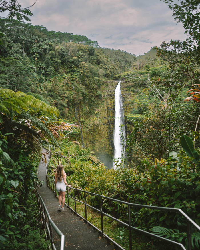Image of the Akaka Falls featuring Michelle standing on a bridge looking at the lush jungle at a distance.
