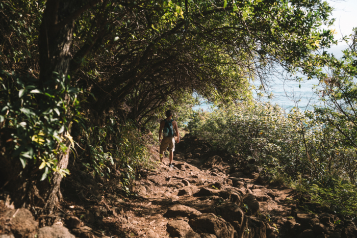 JT walking along Pololū trail Landscape image of JT walking along Pololū trail in Big Island, Hawaii. It features trees and plants.