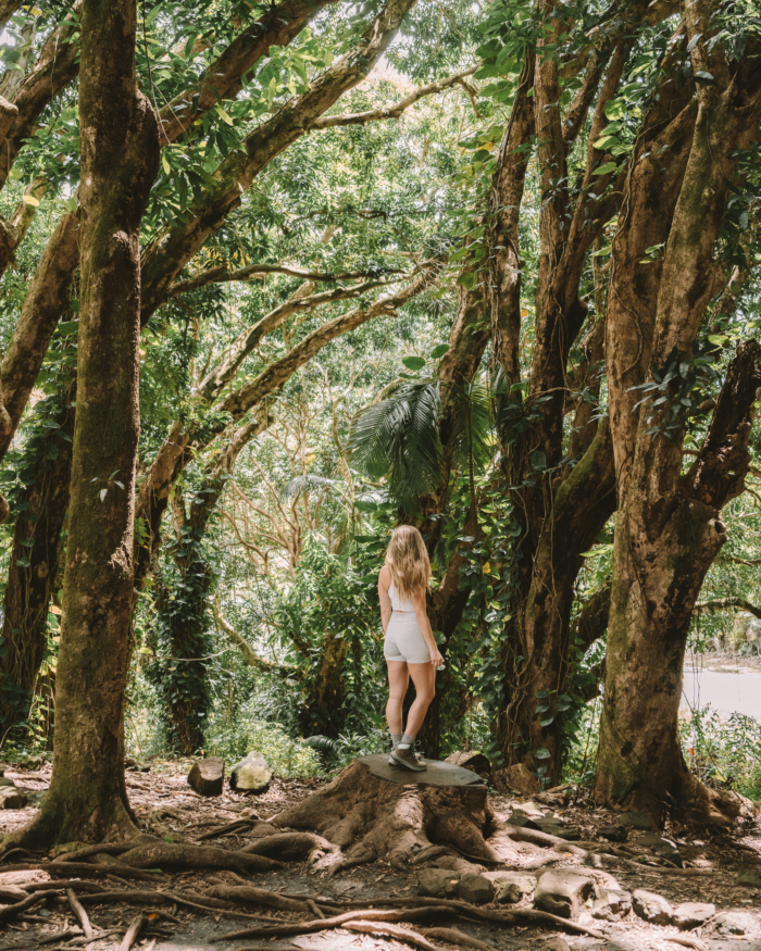 jungles in Big Island Michelle walking through one of the jungles in Big Island, Hawaii.