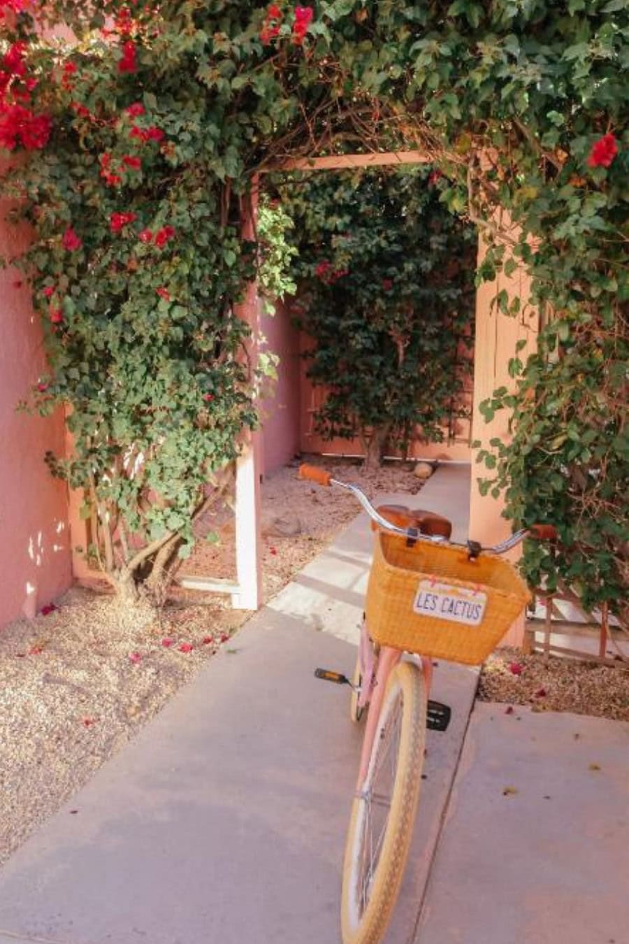 entrance Les Cactus in Palm Springs Image of an entrance to Les Cactus in Palm Springs featuring a bike, a colorful wall and a plant arch.