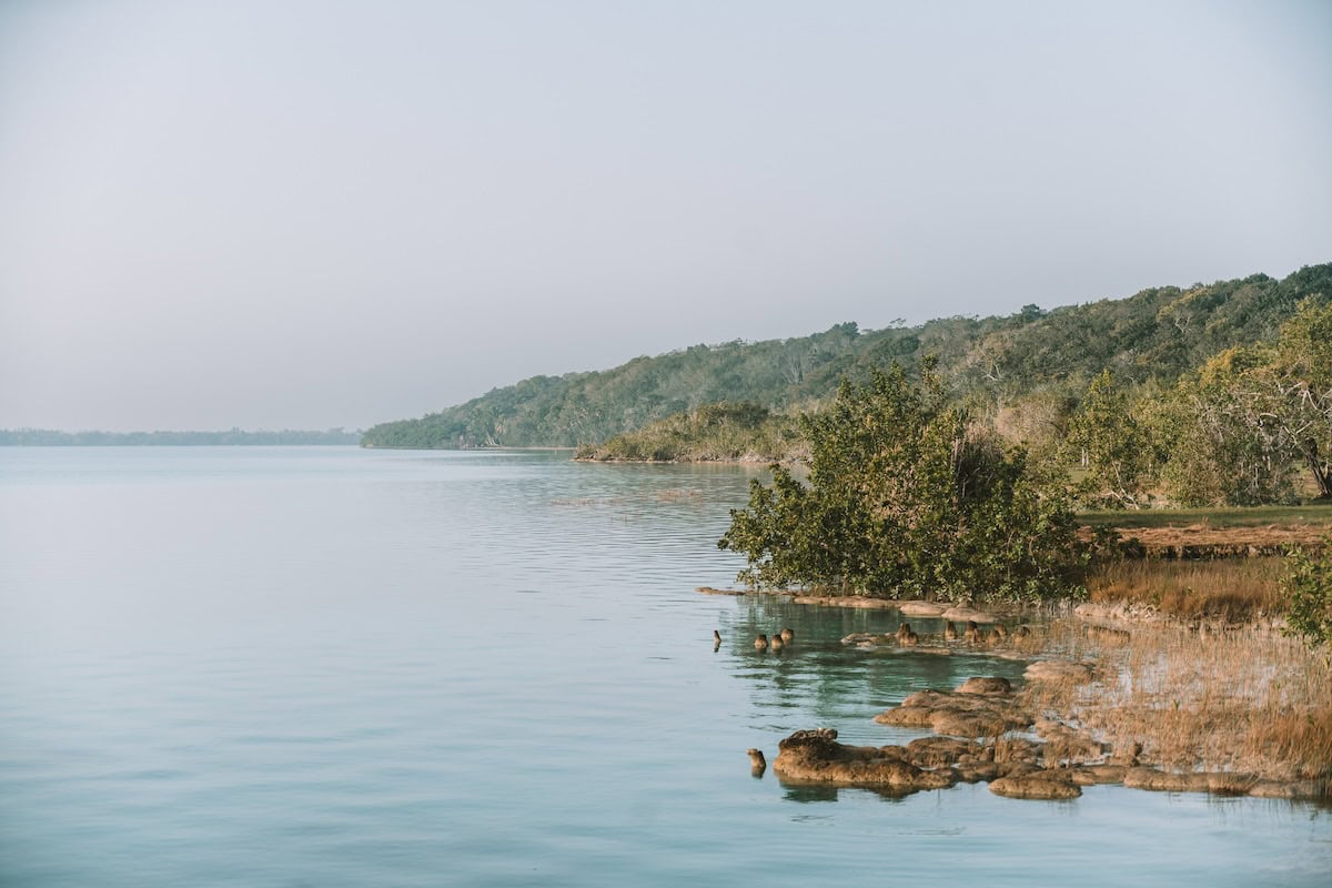 morning Bacalar Lagoon Image of glassy Bacalar Lagoon in the early morning with soft light