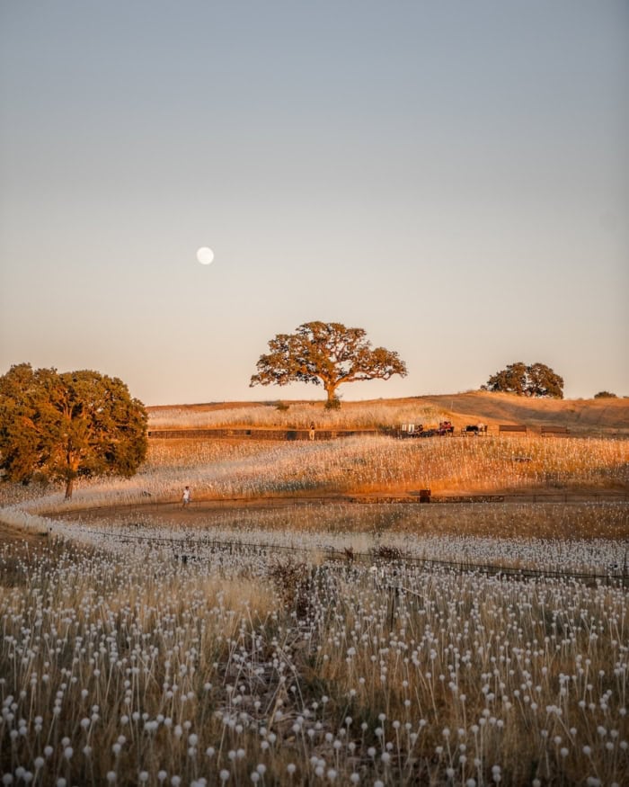 Sunset at Sensorio Paso Sunset at Sensorio Paso with a full moon in the distance