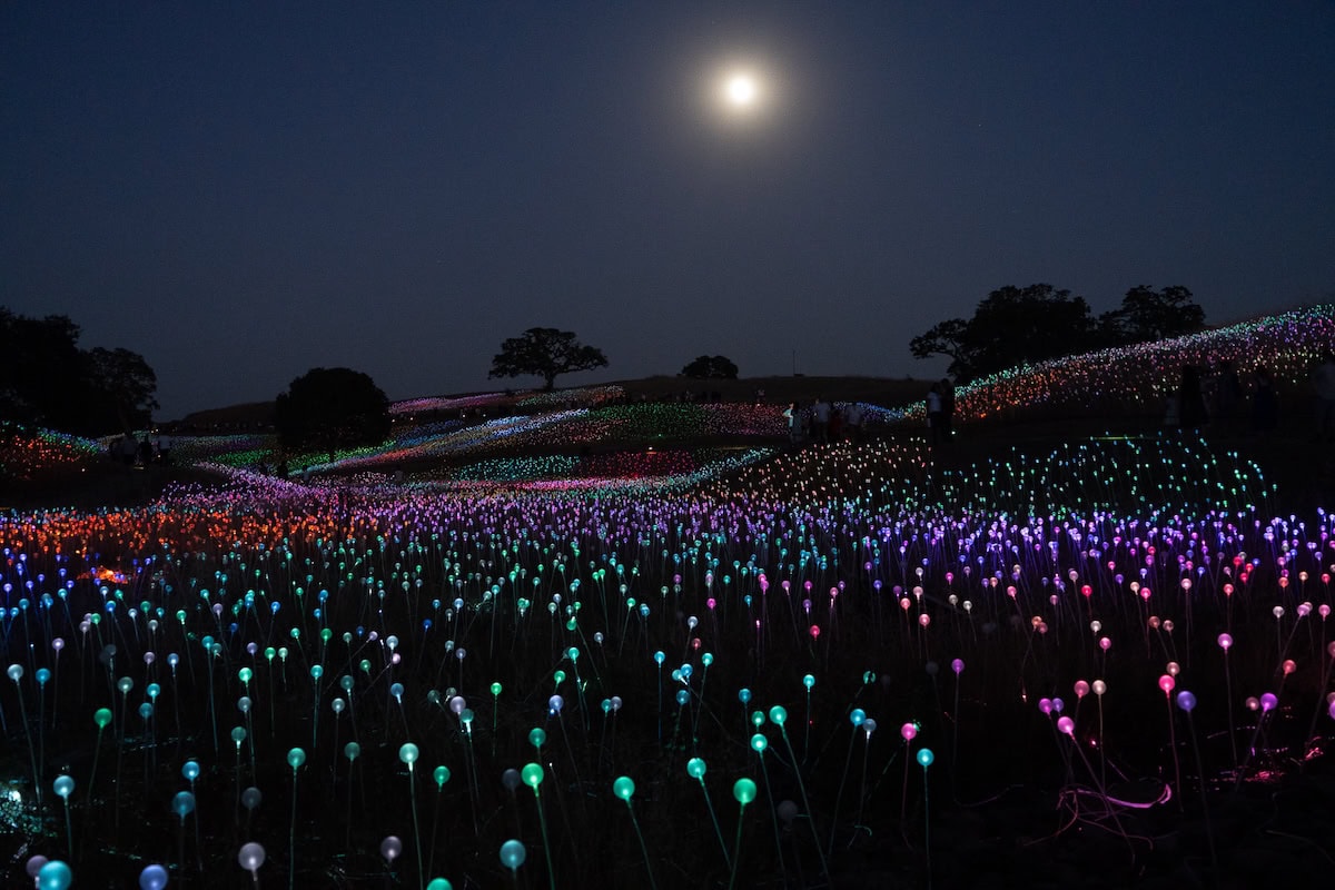 Sensorio Paso Robles Nighttime view at Sensorio Paso Robles with colorful bulbs illuminated against the night sky and a bright moon