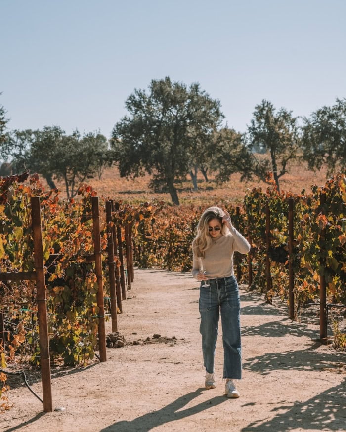 vines at Rava Winery Michelle Halpern standing amongst the vines at Rava Winery holding a glass of sparkling wine