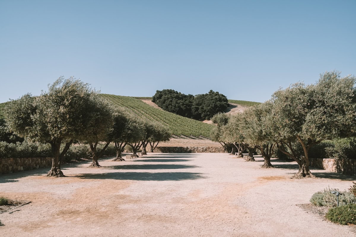 Niner Wine Estates Dirt path between the vines at Niner Wine Estates with a heart shaped hill in the background