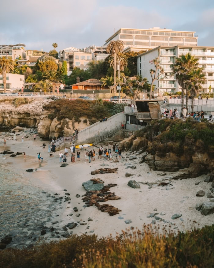 La Jolla Cove Bystanders watching seals on the beach at La Jolla Cove