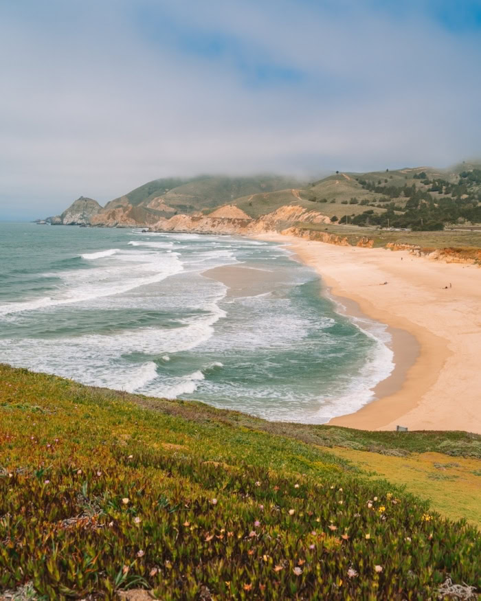 Hillside covered with flowers Hillside covered with flowers and green plants that look out over to Montara State Beach
