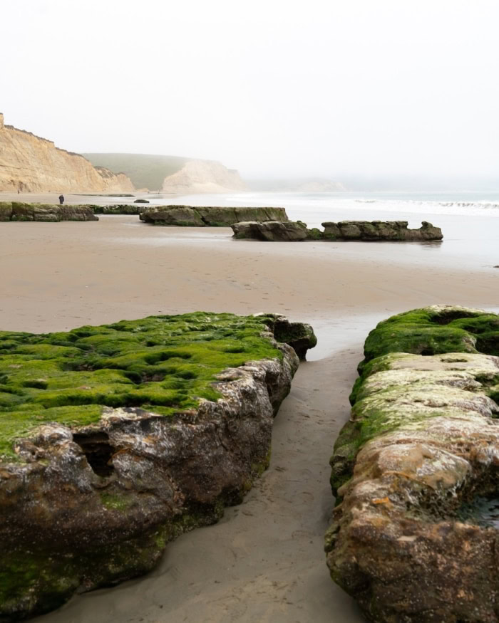 beach at Drake's Beach Drake's Beach | Best Beaches in California