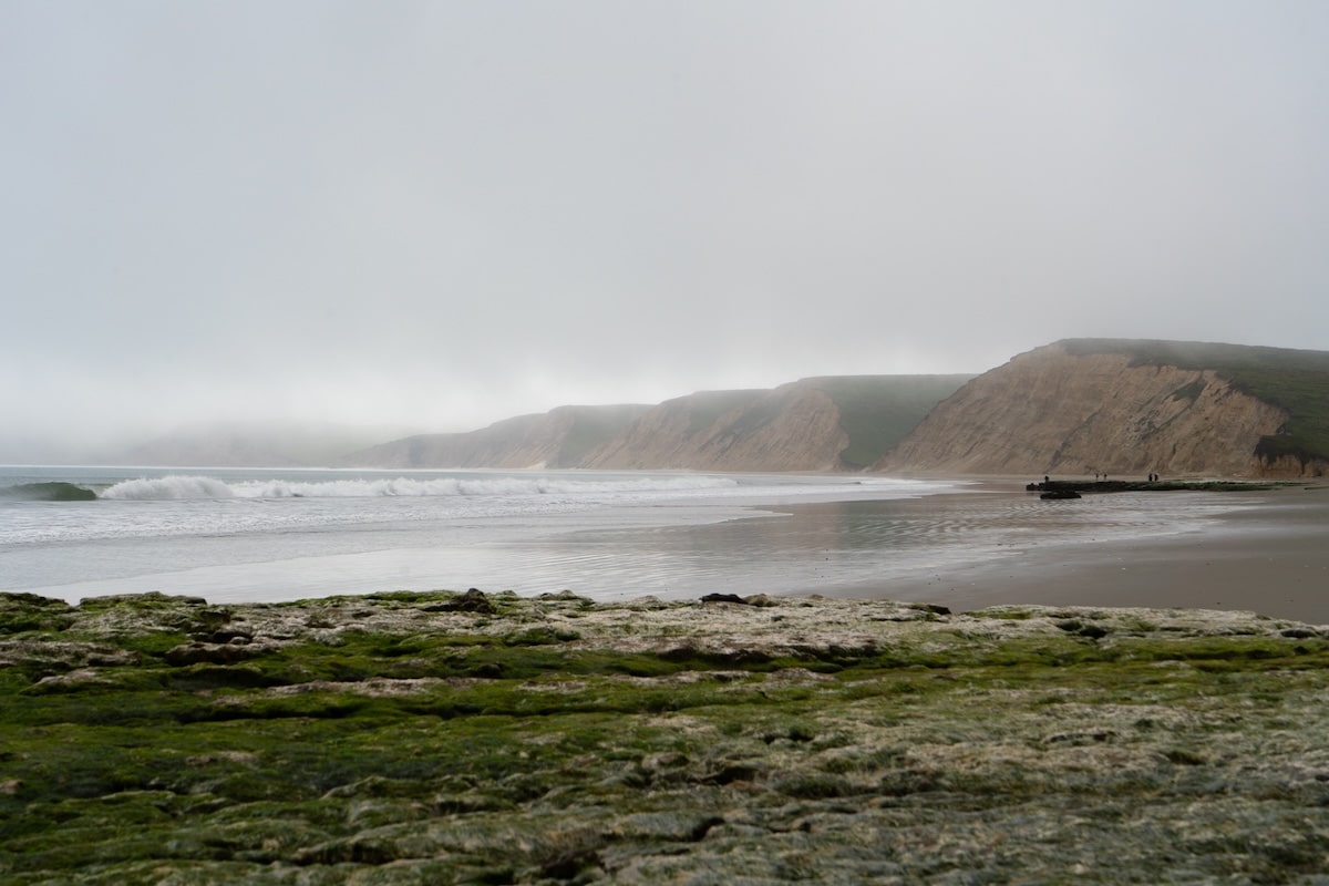 Drake's Beac Dramatic and misty day at Drake's Beach, a long stretch of sand with mossy rocks in the foreground
