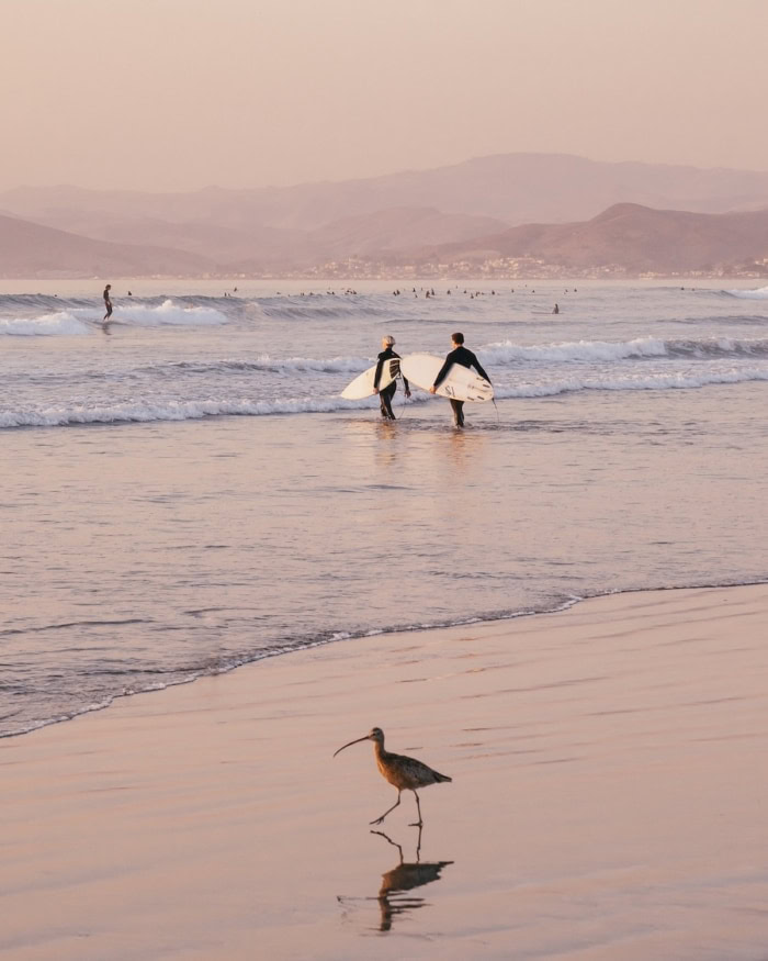 Two surfers Two surfers carrying their surfboards out to the water at Morro Rock Beach with a pink sky surrounding them.