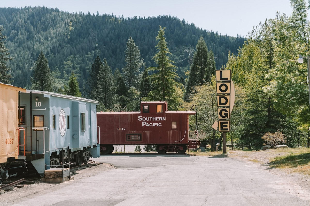 Colorful connected train cars Colorful connected train cars with forest in the background.