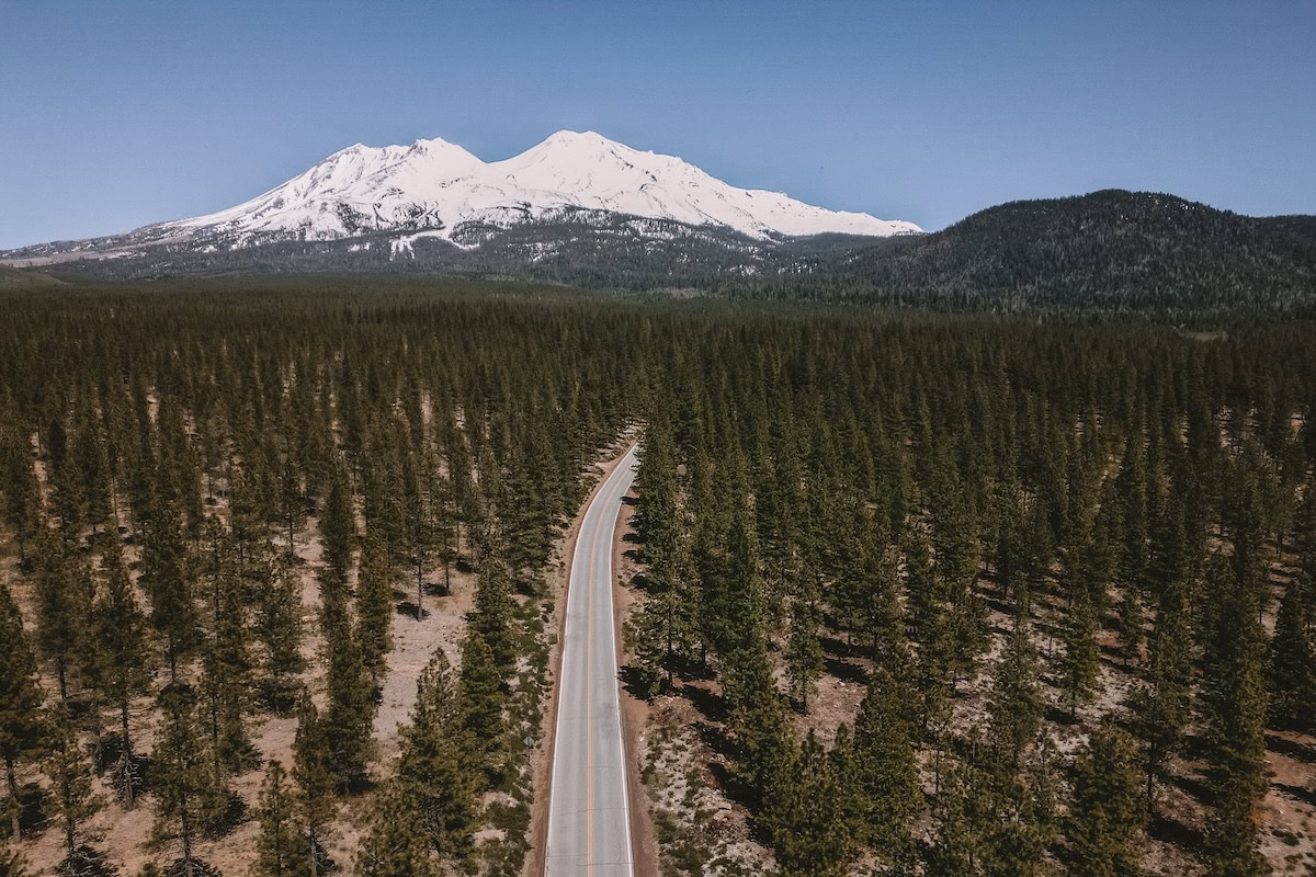 Bunny Flat Trail The road leading to the Bunny Flat Trail at the base of Mt. Shasta