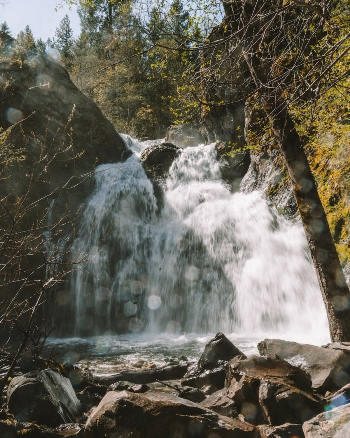 waterfall in Mount Shasta Straight on view of a waterfall in Mount Shasta, with a rocky section in the foreground