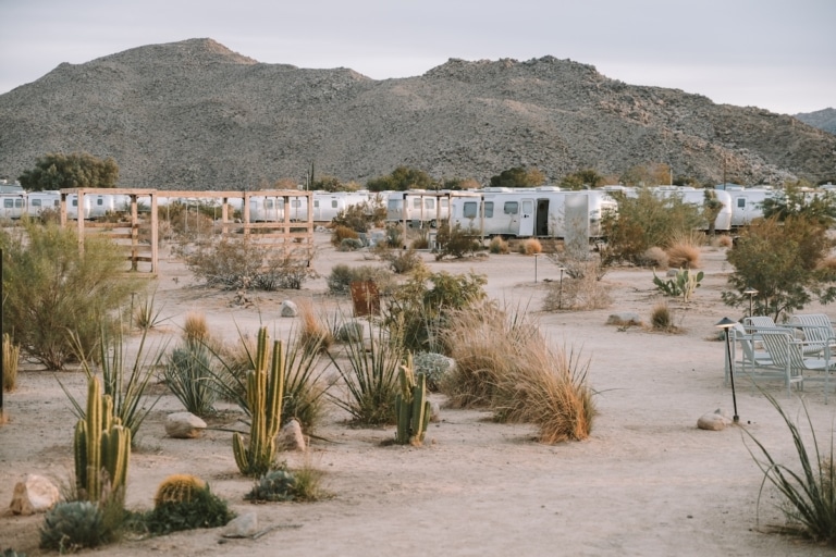Desert landscape dotted with cactus and silver airstream trailers at Autocamp in Joshua Tree