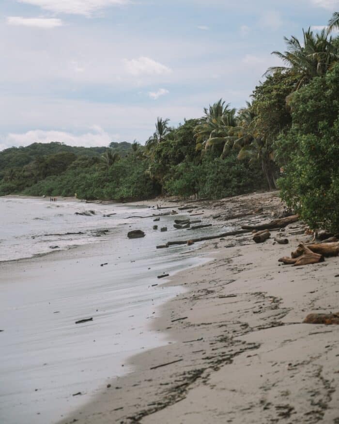 Playa Garza Rugged beach along Playa Garza with lots of driftwood on the sand