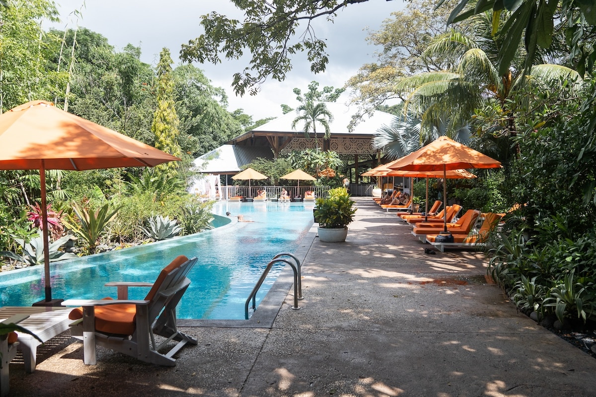 orange sun lounger umbrellas Pool area with orange sun lounger umbrellas at Bodhi Tree Yoga Resort