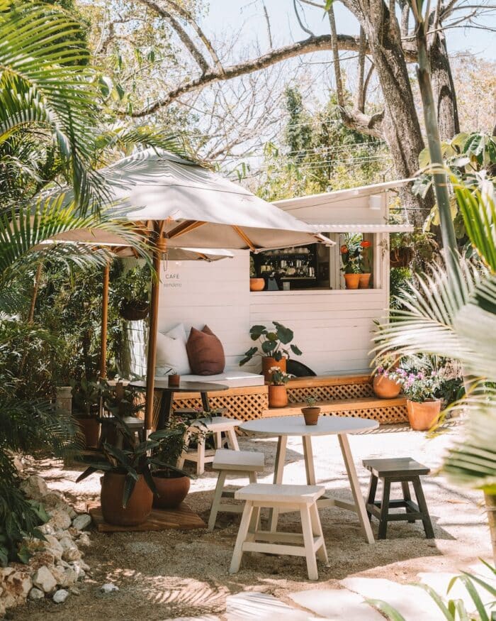 Sendero surrounded by lush jungle Small white coffee shack at Sendero surrounded by lush jungle