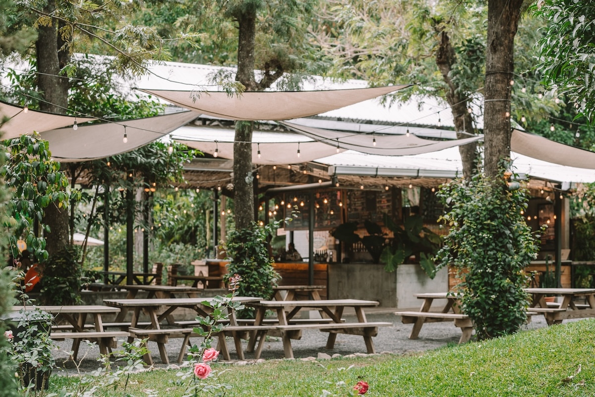 Charming courtyard scene Charming courtyard scene and lush greenery at Antigua Cerveza