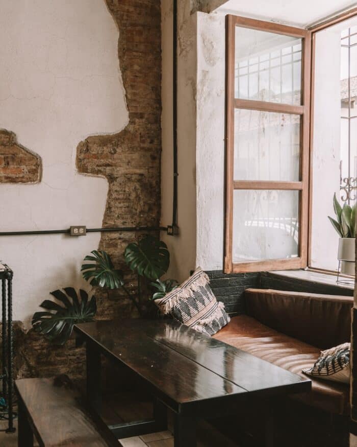 Fat Cat Coffee House Window seating area surrounded by Monsterra plants at Fat Cat Coffee House