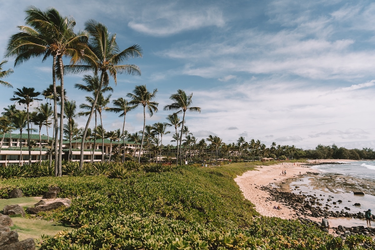 Narrow sandy beach Narrow sandy beach backed by lush greenery and palm trees on a sunny day