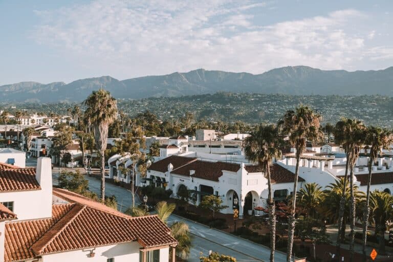 Overhead view of Santa Barbara's palm tree lined streets