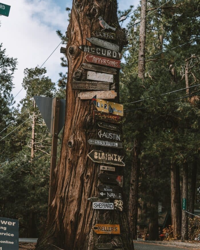 Tree with a bunch of signs Tree with a bunch of signs posted to it | Weekend Getaways from San Diego
