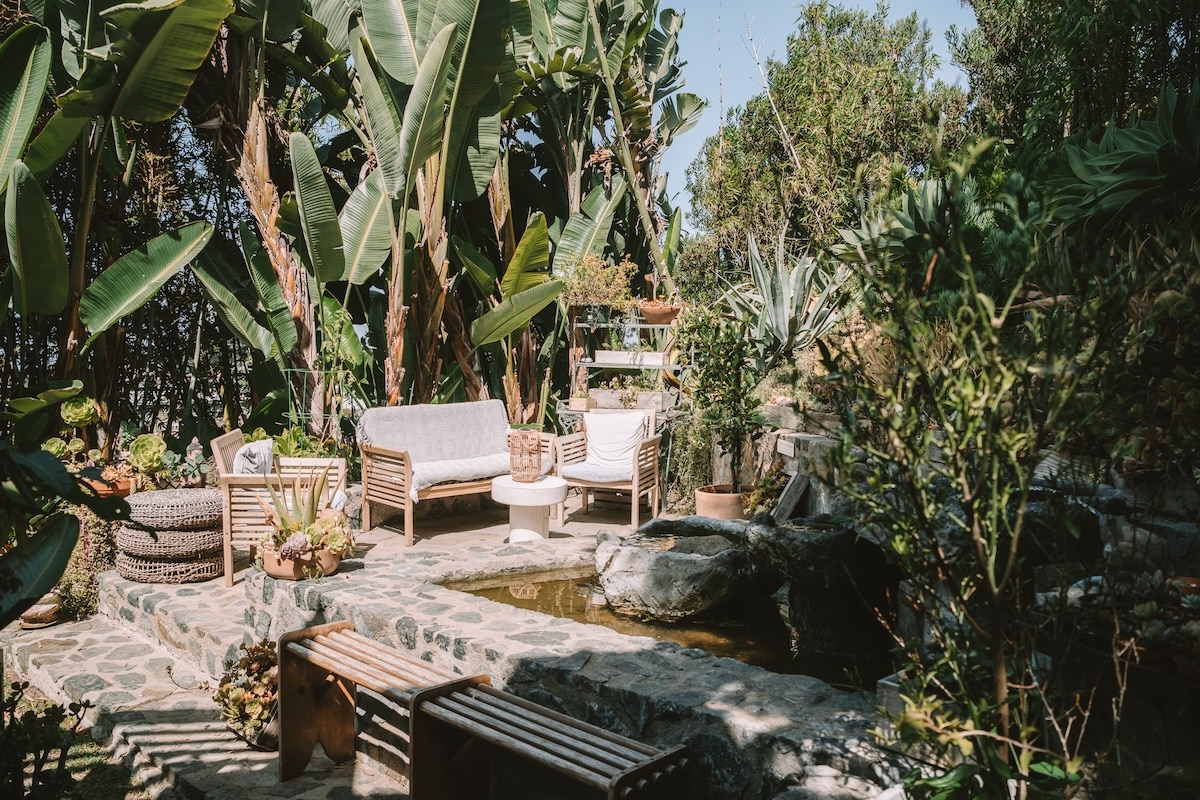 Inn at Moonlight Beach Back garden area surrounded by lush foliage at Inn at Moonlight Beach