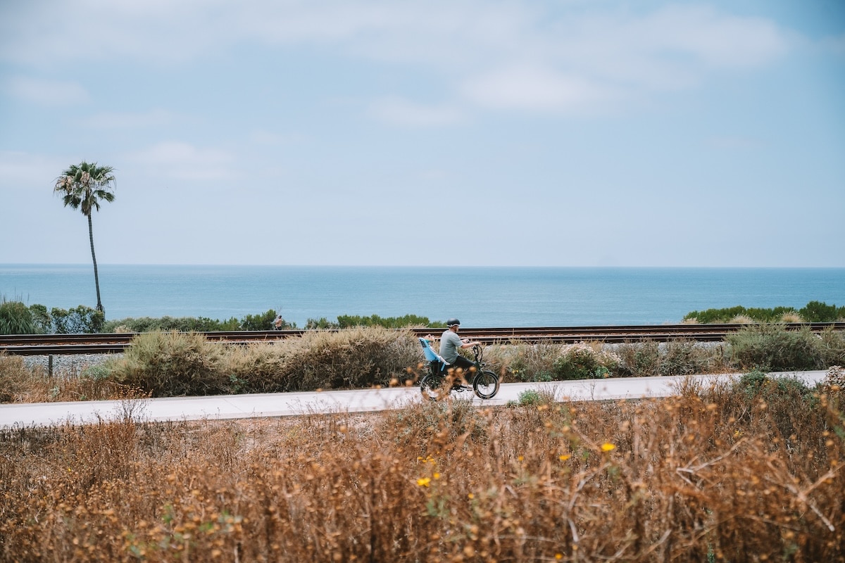 Cardiff Coastal Rail Trail Biker cruising along the Cardiff Coastal Rail Trail