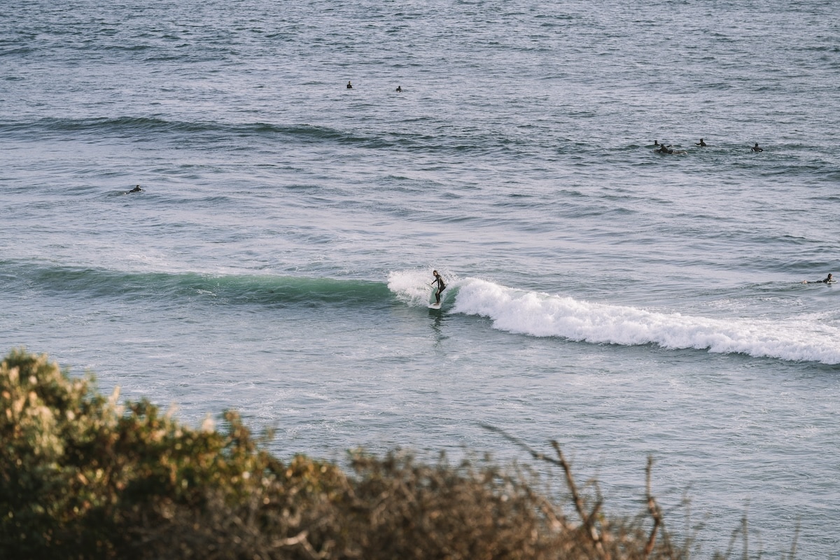 Cardiff by the Sea Surfer riding a way in Cardiff by the Sea