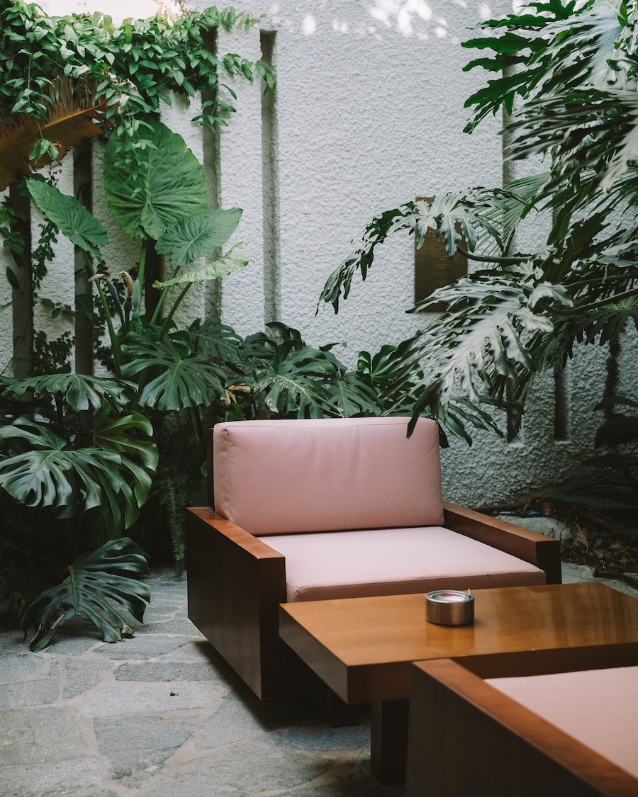 Pink chair Pink chair surrounded by green foliage