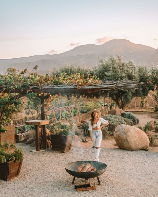 WELCOME TO VALLE DE GUADALUPE 🍷 

🔽Save this post 🔽 if a Mexico wine adventure is on your bucket list! Here are my top wineries and experiences we had all within a long weekend down to @bajacaliforniatraveleng 🤗

☀️ @losportales5 // This seaside restaurant/bar/club is a must as you make the drive down from the Mexico border into Valle de Guadalupe. I promise the energy here will get you hyped for your incredible weekend ahead! 

☀️ Wine tasting at the impeccable @brumavinicola // The architecture and focus on sustainability is worth a trip alone, but the wine is also 🤌🏼

☀️ Dinner at @faunarestaurante // This is Bruma's main on-site restaurant and WOW, was it an experience. Every dish was unexpected but an explosion of flavor. 

☀️ Sleeping in architectural pods at @encuentro_gpe // This hotel has been on my list since it opened and it's one of the Valle's best places to stay if you want a unique, design-centric experience with incredible views overlooking the valley!

☀️ @vinoslechuza // I loved the unfiltered wines at this sweet spot so much that I took a bottle home of everything we tried 🙌🏻

☀️ Sunset at @cuatro_cuatros_ // Last but not least, you can't visit this part of Baja without a sunset session at Bar Bura. This place is a scene, with a dj, vintage bar car, and some of the best sunset views on the Pacific Coast of Mexico 🤩

#WelcometoBajaCalifornia