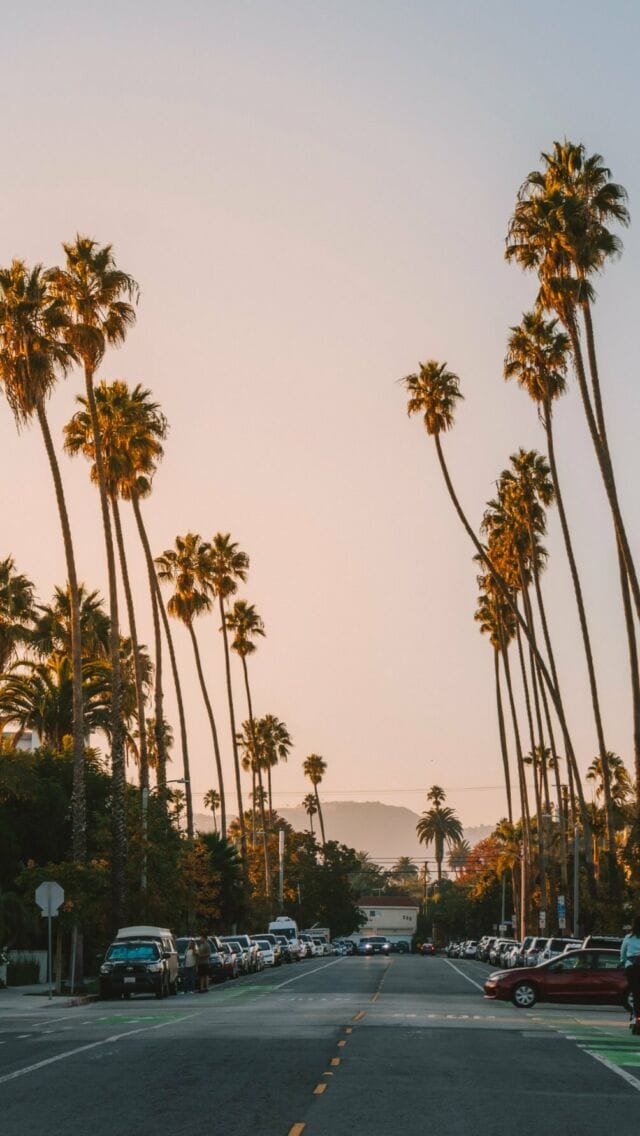My favorite season in California is just around the corner, but who’s counting 😜

What’s your favorite season? 

#californiasummer #californiatraveltips #summercountdown #visitcalifornia #summerincalifornia California summer vibes | Countdown to summer | California beaches
