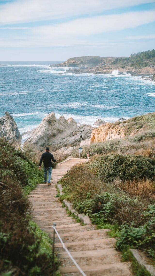 How is the water this turquoise 😍😍😍 

Save this if you’re visiting Point Lobos State Natural Reserve in Carmel-by-the-Sea for some of the best trails you can’t miss and a few tips.

TIPS FOR VISITING POINT LOBOS:
• Entrance fee of $10 per vehicle and you can access the park between 8 am and 6:30 pm
• Sadly dogs are not allowed entry 
• Visit during a weekday for easier parking and less crowds 
• Don’t miss these trails: Bird Island Trail (where you’ll see China Cove, Bird Island Lookout and Pelican Point). Other great ones are the Cypress Grove Trail, Sand Hill Trail and Sea Lion Point Trail 

Is Point Lobos State Natural Reserve on your California bucket list? 

#carmelbythesea #carmelcalifornia #pointlobos #pointlobosstatereserve #centralcalifornia #seemonterey #californialove | Monterey county | Carmel California | beautiful places in California | California blogger | Central coast California | Best things to do in California | California hidden gems | Things to do Carmel