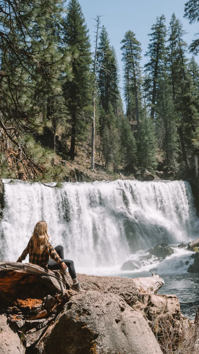 Everyone’s talking about wildflower season, but it’s also WATERFALL season here in California 🤩

Here are 21 waterfalls in CA to add to your bucket list this spring: 

NORTHERN & CENTRAL CALIFORNIA: 
• Hedge Creek Falls
• Burney Falls
• McCloud Falls
• Potem Falls 
• Faery Falls 
• Whiskeytown Falls 
• Feather Falls 

YOSEMITE NATIONAL PARK: 
• Vernal Falls
• Bridalveil Falls 
• Yosemite Falls 
• Nevada Fall
• Ribbon Fall 
• Tenaya Canyon Falls 

CENTRAL & SOUTHERN CALIFORNIA: 
• McWay Falls
• Salmon Creek Falls 
• Paradise Falls 

EASTERN SIERRA & DESERT: 
• Tahquitz Falls 
• Rainbow Falls 
• Lundy Canyon Falls 
• Whitney Portal Falls 
• Darwin Falls 

#californiawaterfalls #californiaspring #visitcalifornia #waterfall